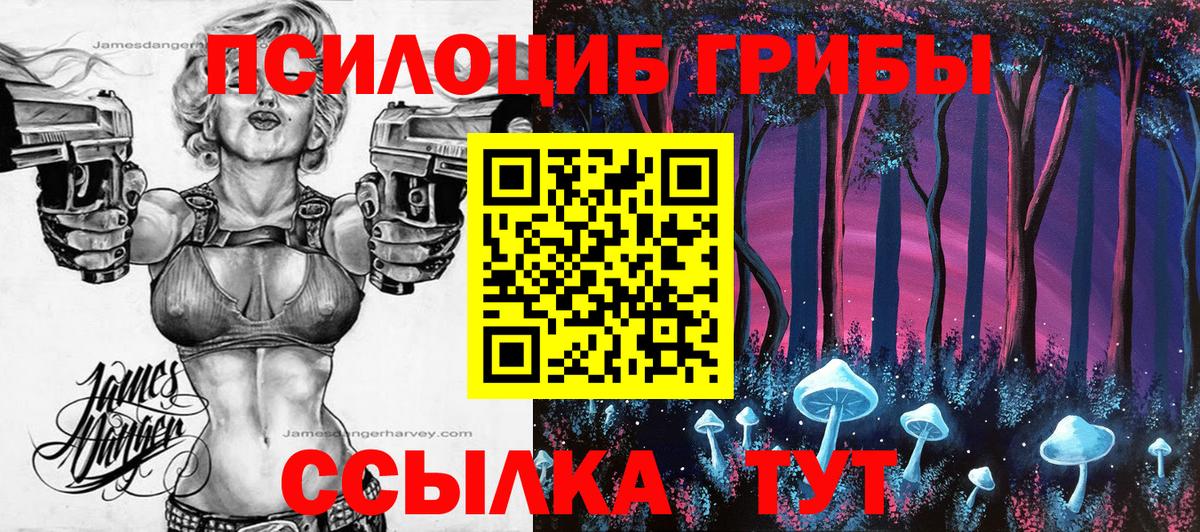 Галлюциногенные грибы Cubensis Холмск