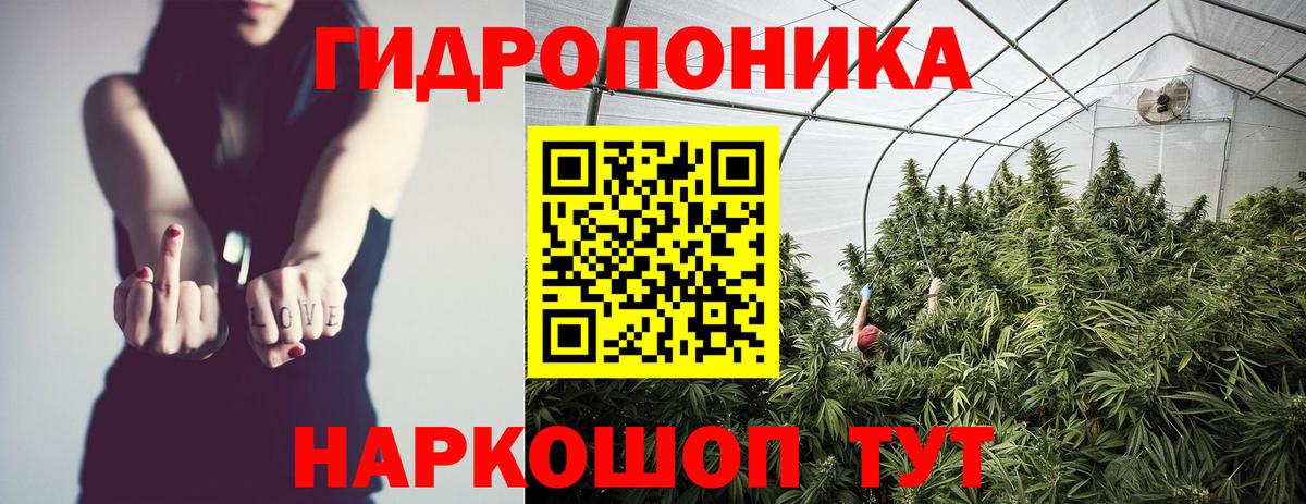 Бошки марихуана планчик Холмск